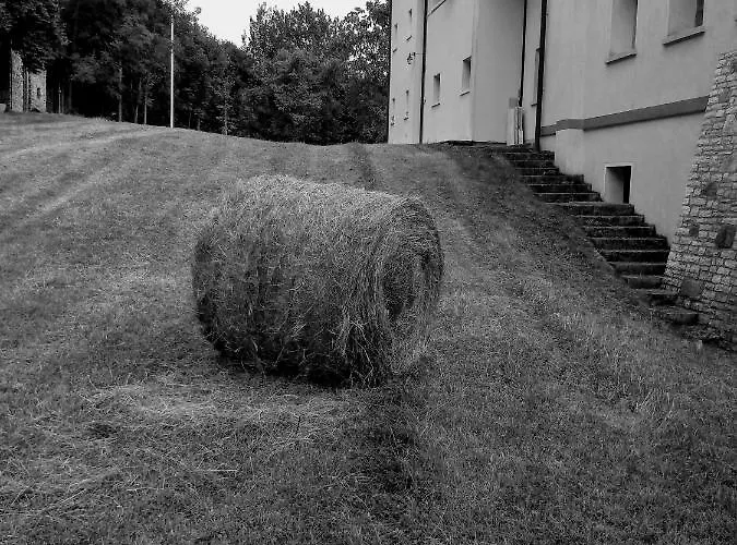 Santa Fosca Nocleg ze śniadaniem 3*